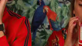 《简单西蒙》02：原来这才是强迫症的最高境界#电影解说