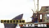 巨吨鲨鱼猛然来袭，渔船被瞬间掀翻！经典电影【大白鲨】