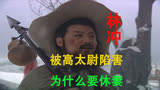 |水浒传|林冲被高太尉一伙人陷害，之后，为什么休妻