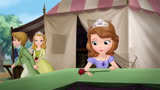 《小公主苏菲亚》赢得宠物比赛就可以在游乐园巫马车苏菲亚的梦想