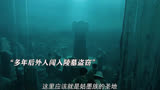 万物皆有灵性，你救我一命我护你一世#电影罗布泊幽陵