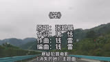 《笼》是悬疑犯罪电影《消失的她》主题曲，原唱张碧晨，作词唐恬