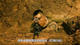 中国最真实的枪战片《红海行动》还有这么多BUG！