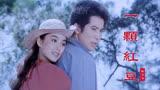 秦汉、林青霞琼瑶经典电影《一颗红豆》同名主题曲，满满的回忆
