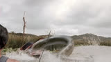 《狂蟒之灾2》非常好看的一部惊悚探险电影