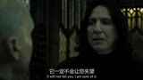 斯内普，你个叛徒