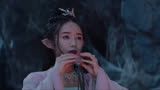 姐喽龟