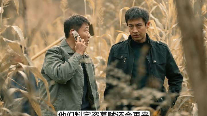 WEB限定カラー 警察无意中在野外发现一个盗洞，结果真没想到(2025) online Full コレクション