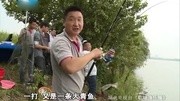 王桂龙钓大鱼圆梦武汉(上) 水库斩80斤巨青鱼
