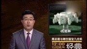 经典传奇 中国宝藏惊世录ⷥ‘覀𛧐†与稀世国宝九龙杯 传纪录片完整版视频在线观看爱奇艺