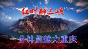 红叶醉三峡转原创完整版视频在线观看爱奇艺