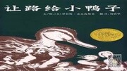 【微信号:小鱼儿故事屋】251 让路给小鸭子儿童完整版视频在线观看爱奇艺