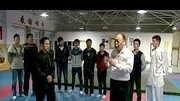 心意拳武术宗师梁晓峰先生健康完整版视频在线观看爱奇艺