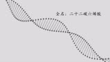 忘不了——DHA对大脑发育的重要作用