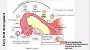 美国医生USMLEAnatomy 解剖学宏景国际教育教育完整版视频在线观看爱奇艺