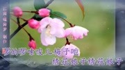 黄梅戏《打菜苔》姐在河里洗菜苔 伴奏(江南、蝶舞梦制作)音乐背景音乐视频音乐爱奇艺