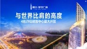 佛山恒大苏宁广场销售中心开放2018.4.28生活完整版视频在线观看爱奇艺