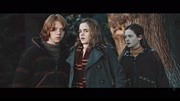 【铁三角】Harry Ron Hermione  Young hearts 【哈利波特】片花完整版视频在线观看爱奇艺