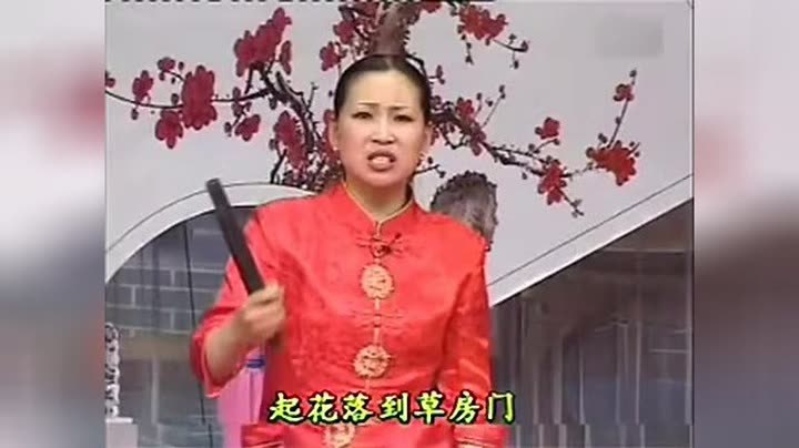                河南坠子【王三姐