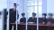 中国神探之刑案解密 犯罪悬疑剧