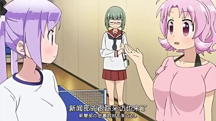 皮皮日