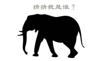 剪影猜动物01.儿童认知动画