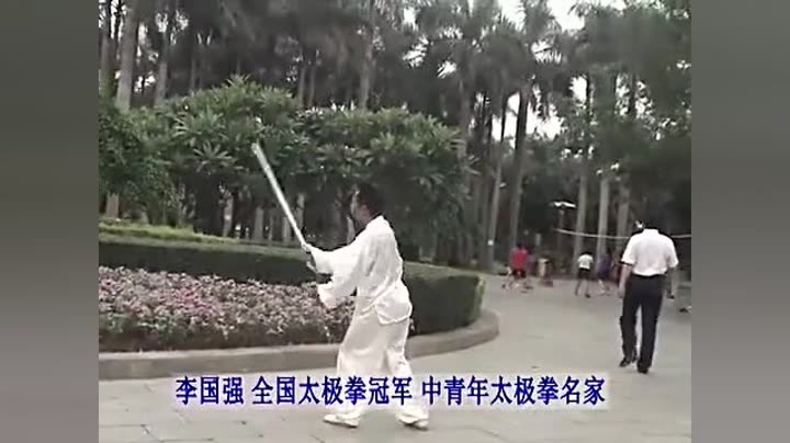   李国强63式武当太极剑正面演练