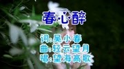 一首望海高歌《春心醉》简直太好听了吧,无数人抢着下载音乐高清MV在线观看–爱奇艺