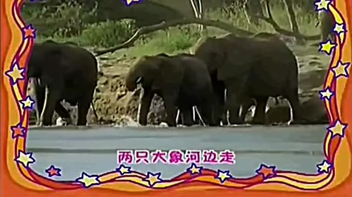    2014小小智慧树 ——两只大象