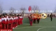 卞寨小学2018冬季趣味运动会知识名师课堂爱奇艺