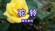 降央卓玛演唱经典老歌《驼铃》好听至极音乐背景音乐视频音乐爱奇艺