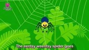 碰碰狐 英语虫虫儿歌 第2集 eentsy weentsy spider