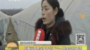 长安区司马村,草莓园突发火情,五个大棚尾部均被烧资讯搜索最新资讯爱奇艺