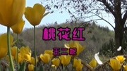 王二妮一首怀旧情歌《桃花红》好听醉人音乐背景音乐视频音乐爱奇艺