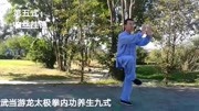 太极拳教学:武当游龙太极拳五式健康完整版视频在线观看爱奇艺