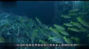 土豪全景私人潜艇,可潜1500米深海,海底两万里既视感电影完整版视频在线观看爱奇艺