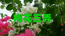 梅花三弄姜育恒简谱_我急需这曲笛子 梅花三弄 的简谱,万谢(3)