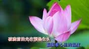 追光的你MV范世琦/黄圣池/朱元冰/李汶翰/李希侃音乐背景音乐视频音乐爱奇艺