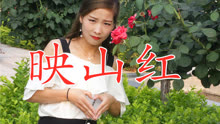 pv_3181218100_d_601_220_124.jpg