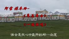 张冬玲草原舞曲谱_张冬玲性感图片