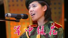 口琴军中绿花简谱_军中绿花口琴简谱c调(3)
