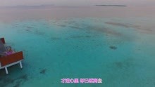 一曲红尘简谱视频_一曲红尘简谱(3)