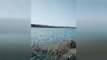 唢呐好汉歌曲谱大全_好汉歌唢呐曲谱简谱(5)