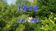 孙露一首《无路可退》经典老歌,歌声凄美悠扬,触动心扉!音乐背景音乐视频音乐爱奇艺