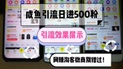 闲鱼引流日进500粉,实战效果展示,网赚淘宝客微商必备生活高清正版视频在线观看–爱奇艺