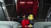 鸟笼 The Bird Cage生活高清正版视频在线观看–爱奇艺