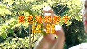 一首《篱笆墙的影子》听醉了,男人女人不管多忙都听一听!音乐背景音乐视频音乐爱奇艺