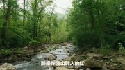 《又见山里红》 久别的山里红 你把太阳的色彩 浓缩成故乡情音乐背景音乐视频音乐爱奇艺