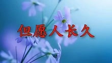 但愿人长久王菲简谱_但愿人长久 王菲 尤克里里曲谱