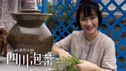 四川泡菜的做法生活完整版视频在线观看爱奇艺